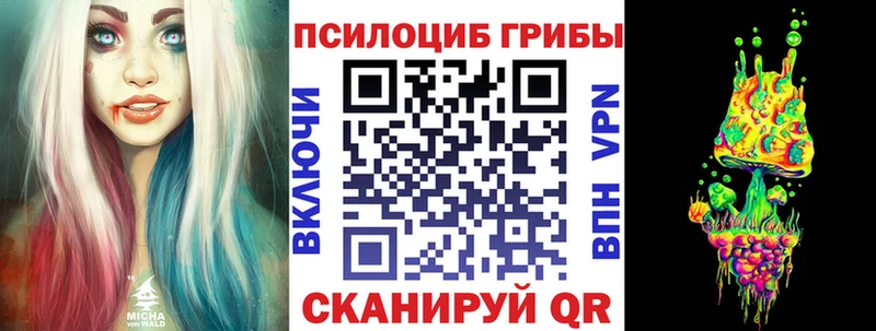 Псилоцибиновые грибы Magic Shrooms  закладки  Лесной 